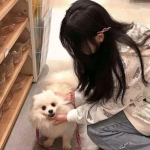 银河棋牌手机app下载